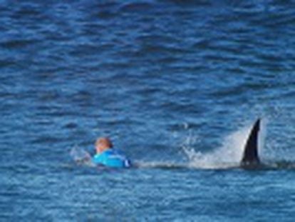 Mick Fanning recibió un coletazo en el rostro y tuvo que ser auxiliado por un barco de rescate que lo llevó a la orilla