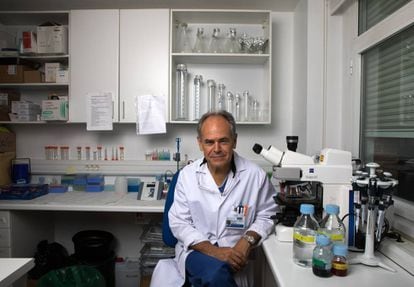 El cirujano Damián García Olmo, en un laboratorio de la Fundación Jiménez Díaz, en Madrid