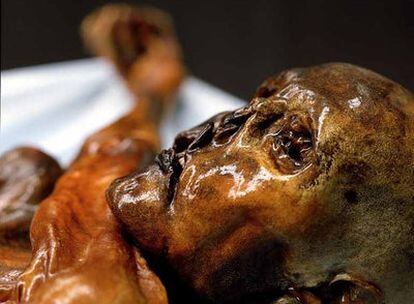 La momia descubierta en los Alpes en 1991