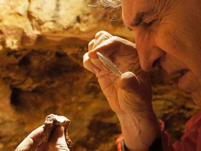 Juan Luis Arsuaga observa un trozo de cráneo descubierto en la campaña de excavación de 2014 en Atapuerca.