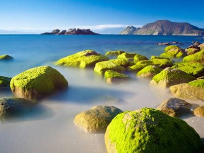 Las islas Cíes, a la entrada de la ría de Vigo, en el parque natural de las Islas Atlánticas.