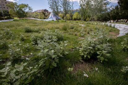 El parc de l'Estació del Nord, a l'Eixample de Barcelona. 
 