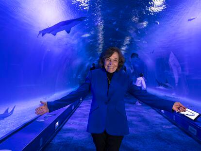 La bióloga marina y exploradora Sylvia Earle, este lunes, en el Oceanogràfic de Valencia.