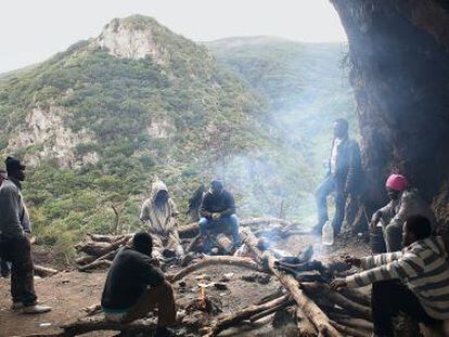 Un grupo de cameruneses asan un jabalí en la cueva donde viven.