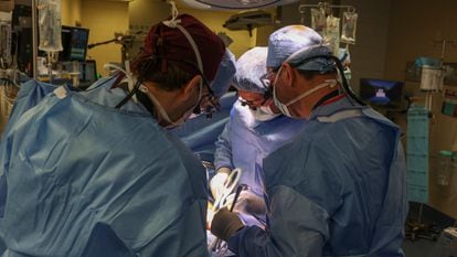 Cirujanos realizan el trasplante en el Hospital General de Massachusetts en Boston (EE UU), el 16 de marzo.