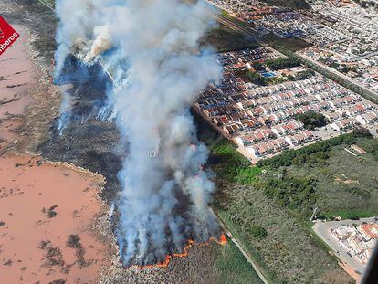 Incendio del parque natural de Torrevieja, declarado en mayo de 2021.