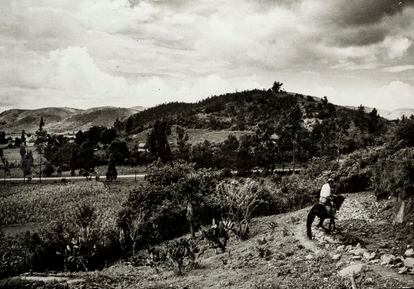 1950年頃、ジタクアロ（メキシコ）の牧場にいる騎手、おそらく医師のゲルマン・ソモリノス。