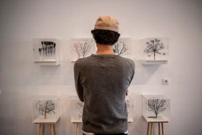 Los árboles en cajas de plexiglás del artista Alberto Ribera, expuestos en Pop Up Art.