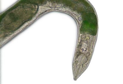 Ejemplar transgénico del minúsculo gusano Elegans. Muestra una proteína fluorescente en esta imagen tomada en microscopio.