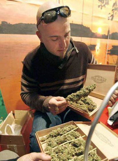 Un visitante de la feria examina distintos tipos de marihuana.