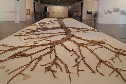 Instalación de Alberto Baraya sobre un herbolario que mezcla plantas de toda naturaleza.