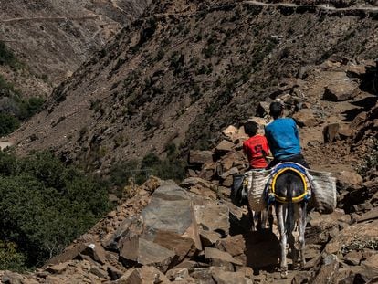 Dos niños a lomos de burros bajan el valle de Amndar para cargar ayuda humanitaria el pasado miércoles.