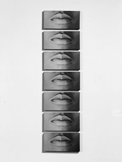 Los paneles de 61 x 16 en los que Lorna Simpson plasmó 'las siete bocas' en 1993.