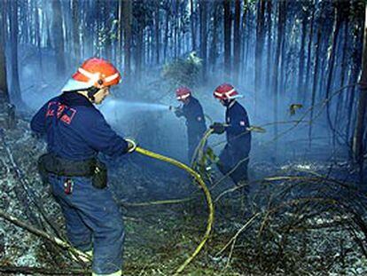Bomberos de Colindres y Laredo tratan de extinguir las llamas en el bosque de eucaliptos de Seña (Cantabria).