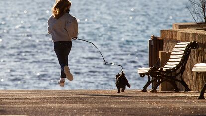 Una niña pasea a su perro, el martes en la localidad mallorquina de Andratx.