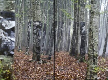Restos del Guernica pintado hace ocho años en el hayedo de Zilbeti (Navarra) tal y como están en la actualidad.