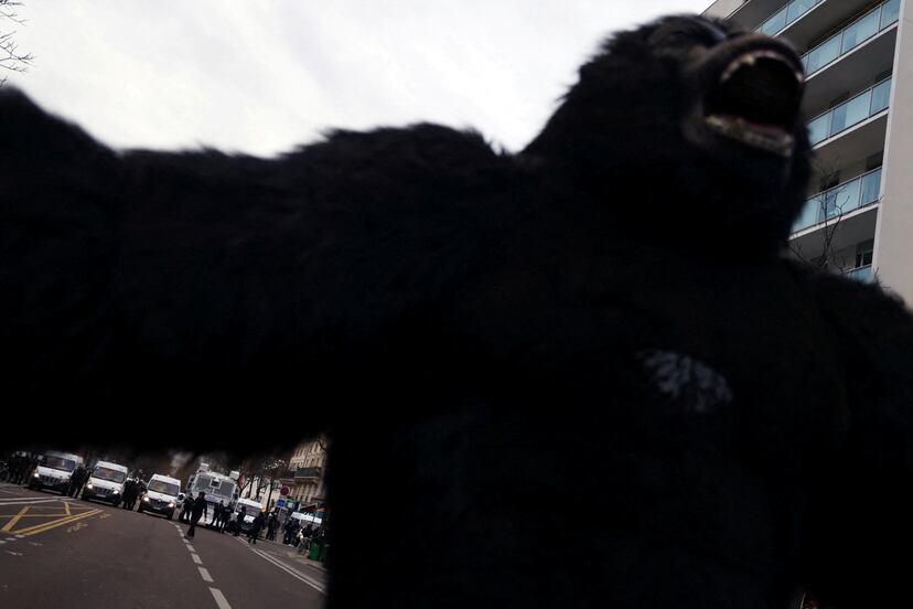 Una persona disfraza participa en las protestas de París.