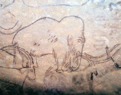 Pinturas de un íbice y un mamut en la cueva de Rouffignac, en la región francesa de Périgord.