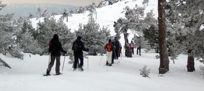 Un grupo de personas pasea con raquetas por la sierra.