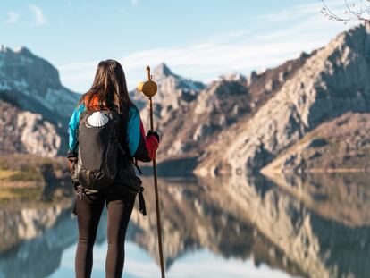  FLHAINVER Dos bastones de trekking al aire libre, bastones de  tallo recto, bastones telescópicos para caminar, bastones de senderismo de  montaña, aleación de aluminio (25.6 – 53.1 in ajustable), bastón para