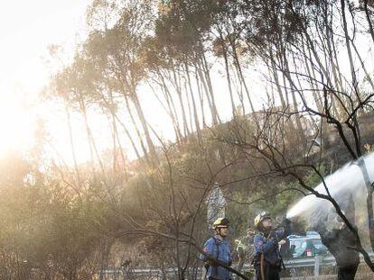 Dos bomberos acaban con las &uacute;ltimas llamas