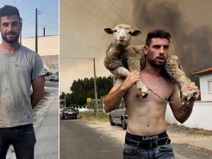 João Paulo Ruivo, en la aldea de Boa Vista (Leiria), dos días después del incendio y durante el rescate de una oveja herida el martes.