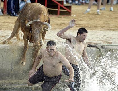 En Dénia (Alicante) se vive de una manera muy particular el encuentro con los toros. Son populares los 'bous a la mar', una fiesta en la que los recortadores de las vaquillas eluden sus embestidas tirándose al mar. Tras ellos caen los animales, que luego tienen que ser remolcados con sogas. Una modalidad de esta fiesta también se celebra en L'Ampolla (Tarragona). Allí ha habido que instalar cercas dentro del agua para que se cumpla con el reglamento autonómico, que impide que los festejos se realicen en recintos abiertos.