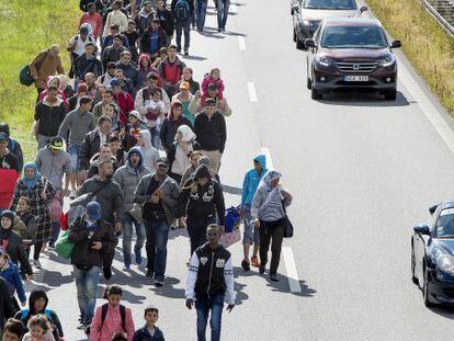 Centenares de refugiados, en su mayor&iacute;a sirios, transitan por una autov&iacute;a en Dinamarca. 
