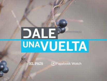Sexta entrega de 'Dale una vuelta' de EL PAÍS y Facebook Watch.