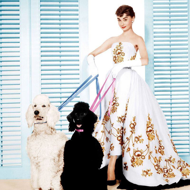 Son un básico de las películas de Audrey Hepburn: los llevó de color blanco en ‘Sabrina’ (1955) y negros en ‘Desayuno con diamantes’ (1961).