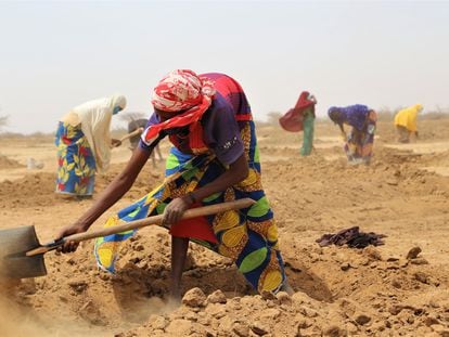 En la región de Zinder, en Níger, una mujer prepara la tierra, en abril de 2021. Actualmente, se han rehabilitado miles de hectáreas de terreno a través del sistema tradicional de medias lunas que retiene el agua y prepara el suelo para la cosecha.