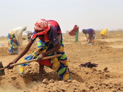 En la región de Zinder, en Níger, una mujer prepara la tierra, en abril de 2021. Actualmente, se han rehabilitado miles de hectáreas de terreno a través del sistema tradicional de medias lunas que retiene el agua y prepara el suelo para la cosecha.