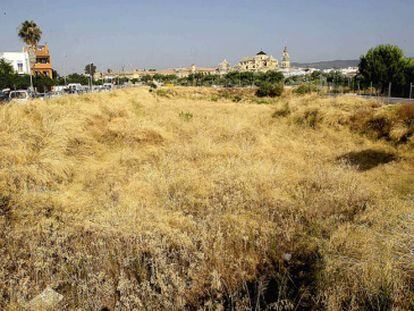 Una vista de los terrenos elegidos para el Palacio del Sur.