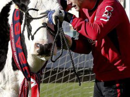 Ricardo, junto a una vaca durante el entrenamiento de hoy de Osasuna, en una campaña publicitaria.