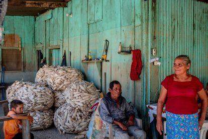 Ana Isolina Esquivel y Anselmo Ramírez, en su casa de la comunidad guatemalteca de Sebol, Izabal, aún con la marca del agua de los huracanes 'Eta' y 'Iota'.