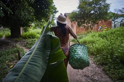 Tupí recoge flores y grandes hojas de palma para adornar la mesa durante una jornada de trabajo sobre género en la aldea San Francisco.