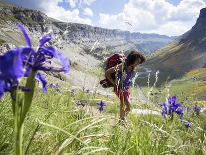 El valle principal del parque nacional de Ordesa y Monte Perdido, en el Pirineo aragonés. 