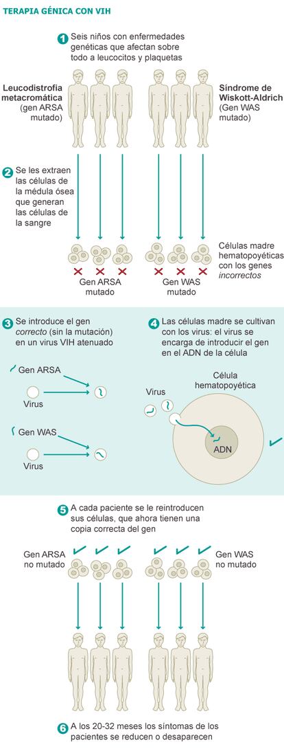 Fuente: Science.