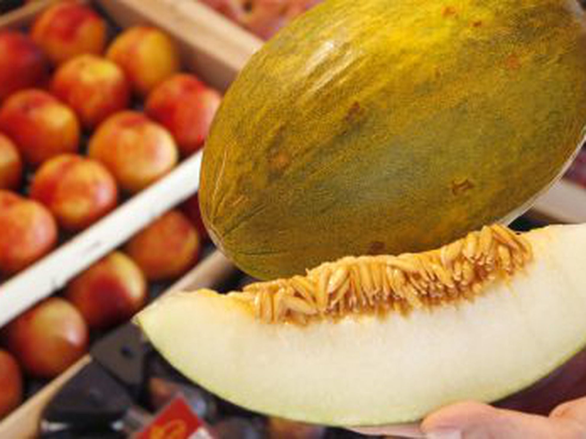 Como Se Dice Melón En Inglés El genoma completo del melón da pistas para mejorar su producción |  Sociedad | EL PAÍS