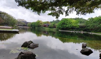 Lago artificial dentro del campus de Huawei en Shenzhen.