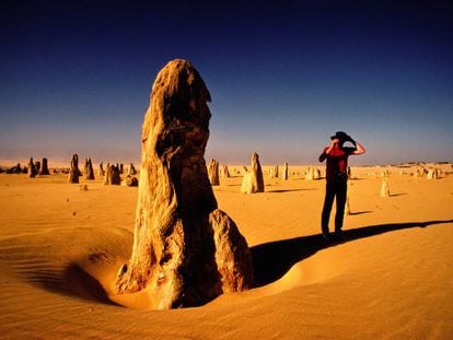 Las formaciones de roca caliza del desierto de los Pin&aacute;culos, cerca de la localidad de Cervantes, en Australia Occidental. 