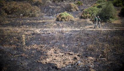 Dos agentes en los terrenos incendiados en San Roque.