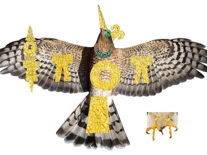 Arqueólogos hallan dos gavilanes vestidos con ornamentos de turquesa y oro, vinculados con Huitzilopochtli, dios de la guerra.