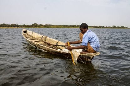 Barka Idriss mientras pesca en Tagal, en la regi&oacute;n del Lago Chad (Chad).