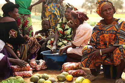 Luego de trabajar las mujeres se reúnen bajo la sombra de un árbol para contabilizar la cosecha y repartirse equitativamente los productos