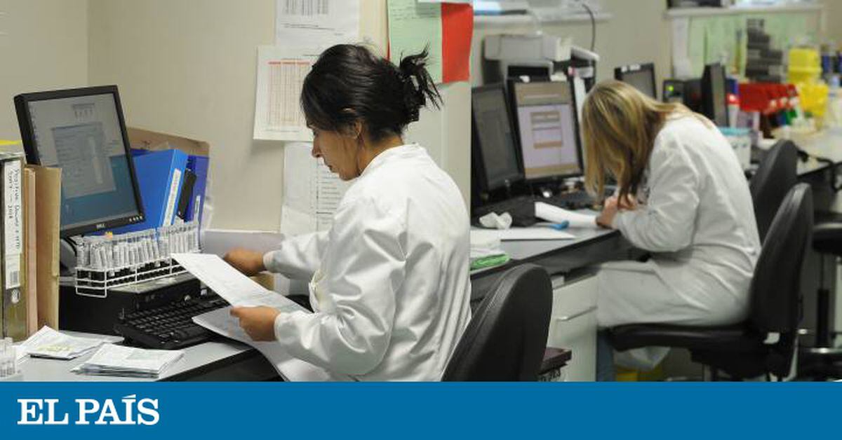 Las políticas de igualdad en España también fracasan en la ciencia