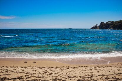Los colores azul y verde del mar de la Costa Brava inspiraron al músico a la hora de componer 'Mediterráneo'.
