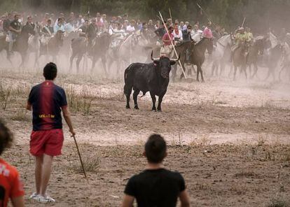 El 'Toro de la Vega', uno de los festejos que recorre 'Santa Fiesta'.