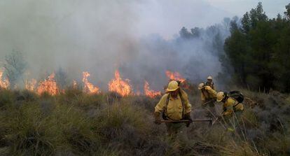 Personal del Infoca trabaja en la extinción de los incendios en Almería.