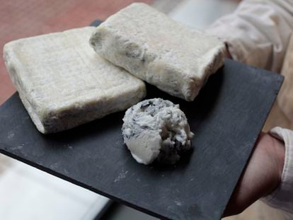 Dos formatos de Olavidia, nombrado el mejor queso del mundo. En la tienda de Formaje lo tienen en formato helado y también al natural.